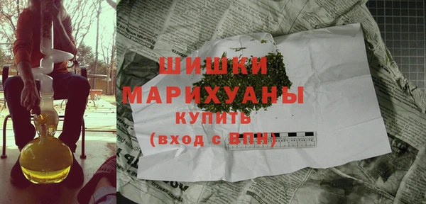 ПСИЛОЦИБИНОВЫЕ ГРИБЫ Краснослободск
